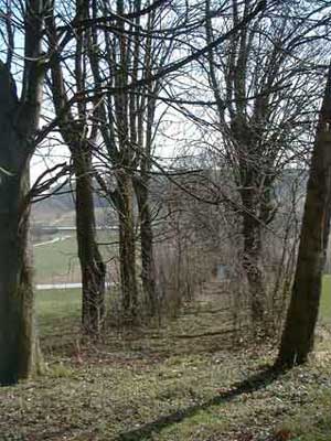 Kirchenruine