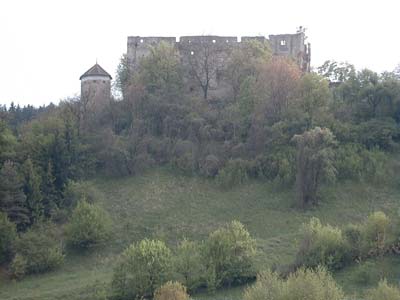 Burgruine Mollenburg