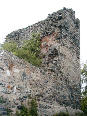 Ruine Weitenegg