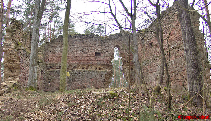 Ruine Kronast / Oberösterreich