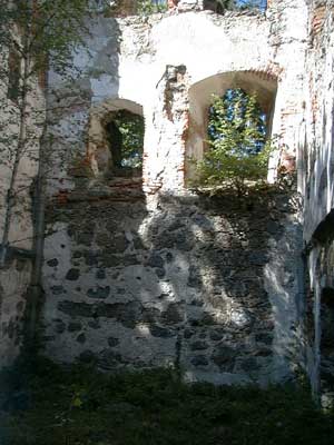 Ruine Wallsee